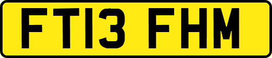 FT13FHM
