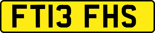 FT13FHS