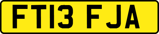 FT13FJA
