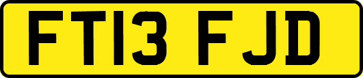 FT13FJD