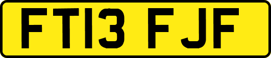 FT13FJF