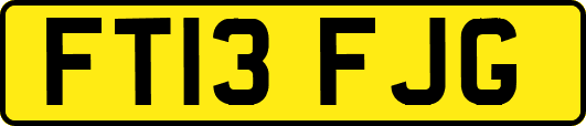FT13FJG