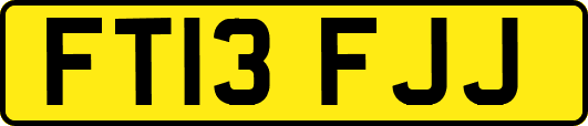 FT13FJJ