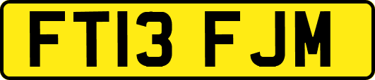 FT13FJM