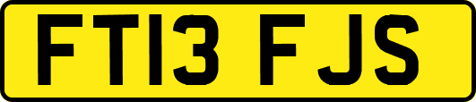 FT13FJS