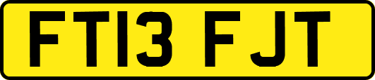 FT13FJT