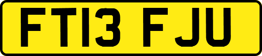 FT13FJU