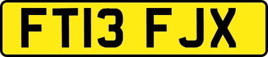 FT13FJX