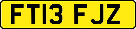 FT13FJZ