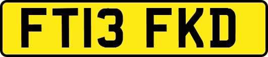 FT13FKD