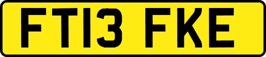 FT13FKE