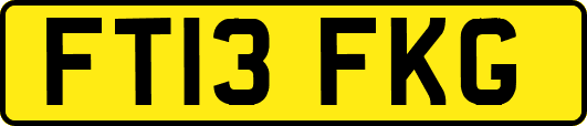 FT13FKG