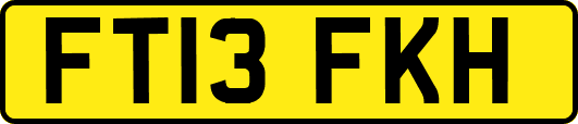 FT13FKH