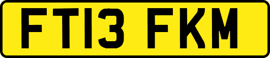 FT13FKM