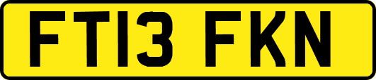 FT13FKN