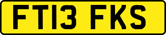 FT13FKS