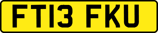 FT13FKU