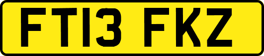 FT13FKZ