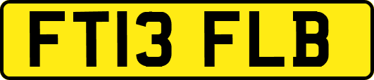 FT13FLB