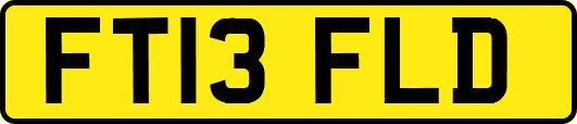 FT13FLD