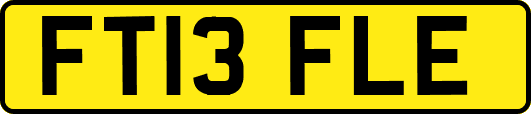 FT13FLE
