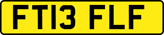 FT13FLF