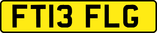 FT13FLG