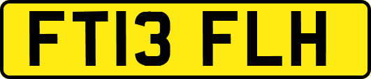 FT13FLH