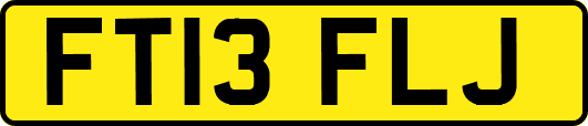 FT13FLJ