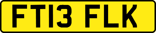 FT13FLK