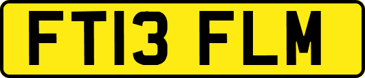 FT13FLM