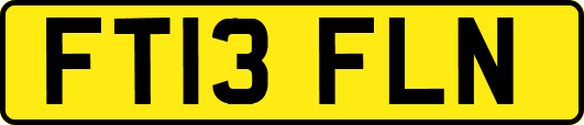 FT13FLN