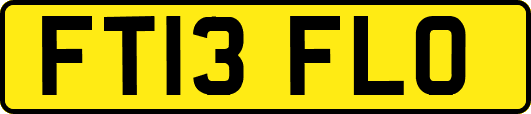 FT13FLO