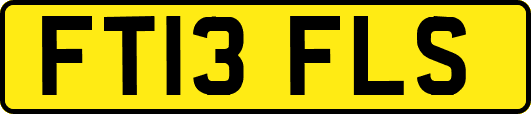 FT13FLS