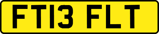 FT13FLT