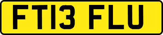 FT13FLU