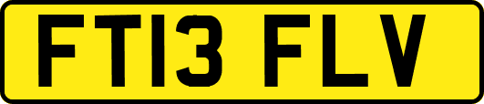 FT13FLV