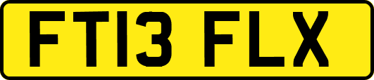 FT13FLX