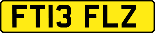 FT13FLZ