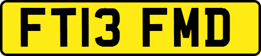 FT13FMD