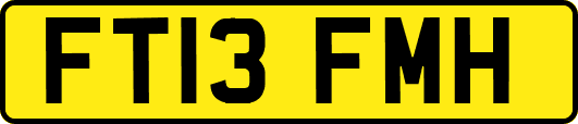 FT13FMH