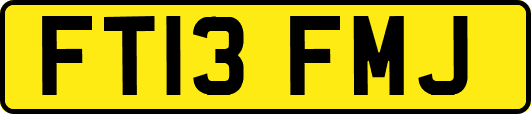 FT13FMJ