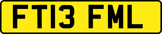 FT13FML