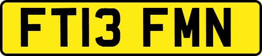 FT13FMN