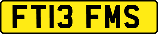 FT13FMS