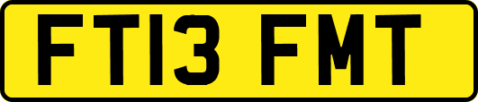 FT13FMT