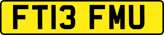 FT13FMU