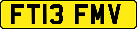 FT13FMV