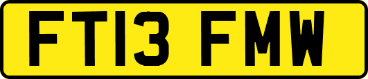 FT13FMW