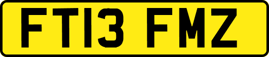 FT13FMZ